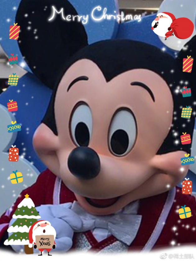 ������ɹ��