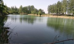 ����̫�ͣ�һ��֧��˽�Բ�ɰ�Ѽ����������޸����˱�Ͷ��