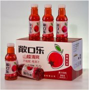 �۳����������ְҵ��������